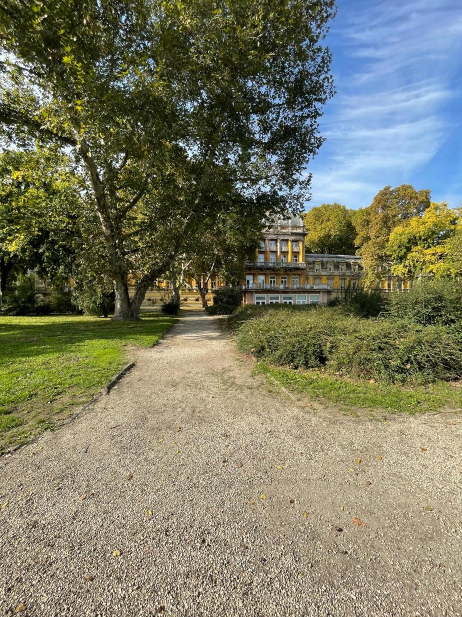 Margaret Apartment Next To The Lukacs Spa With Panorama Danube ブダペスト エクステリア 写真